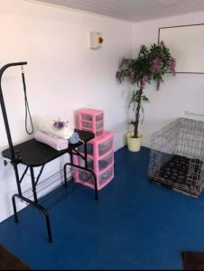 Bankend Cattery, Kennels and Grooming