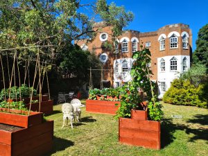 Belmont Castle Care Home