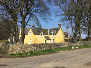 Borders Eco Flowers – The Moorhouse
