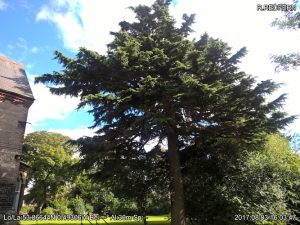 Cedar Grange Care Home – Roseberry Care Centres