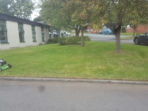 Coverage Care Stonehouse