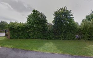 Golden Park & Golden Manor Care Home