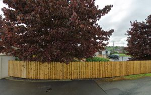 Grouse Care Home Ann’s