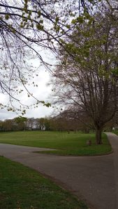 Harewood Court Nursing Home