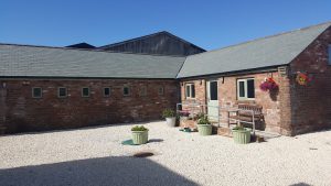 Merryhill Cattery