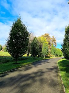 Pendine Park Care Home