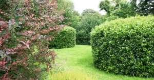 Ponsandane Care Home