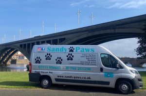 Sandy Paws